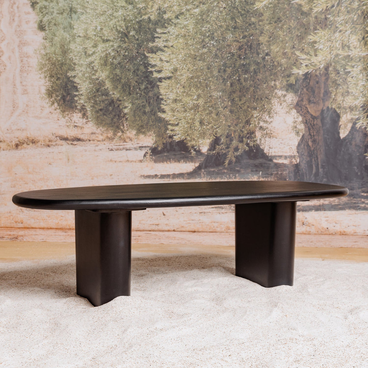 Dirck Salontafel Mango Hout Zwart