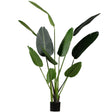 Strelitzia Kunstplant Groen 164 Cm van WOOOD – Luxe comfort op maat van PureWonen. Vraag naar de beste prijs.