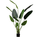 Strelitzia Kunstplant Groen 164 Cm van WOOOD – Luxe comfort op maat van PureWonen. Vraag naar de beste prijs.