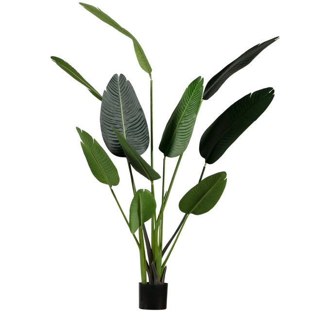 Strelitzia Kunstplant Groen 164 Cm van WOOOD – Luxe comfort op maat van PureWonen. Vraag naar de beste prijs.