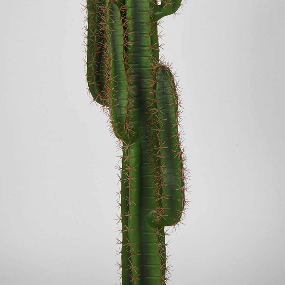 LABEL51 Cactus - Groen - Kunststof - 130 cm