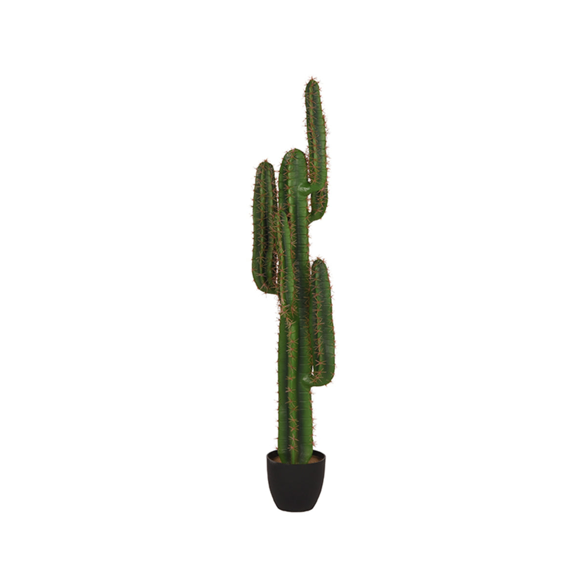 LABEL51 Cactus - Groen - Kunststof - 130 cm