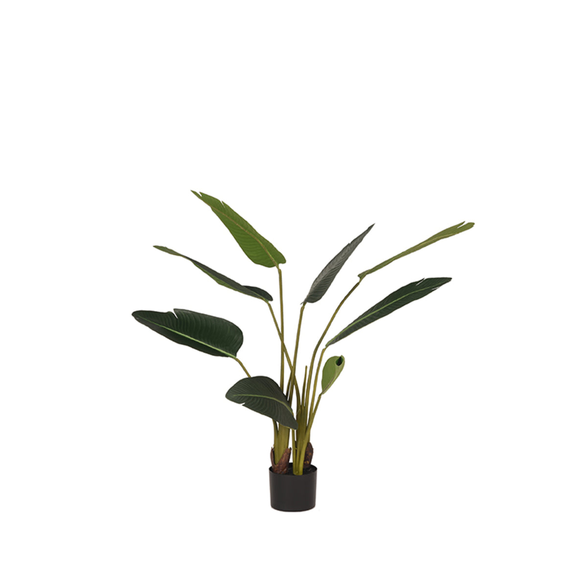 LABEL51 Strelitzia - Groen - Kunststof - 100 cm