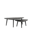 LABEL51 Salontafel Set Rock - Zwart - Mangohout - 110 cm van LABEL51 – Luxe comfort op maat van PureWonen. Vraag naar de beste prijs.